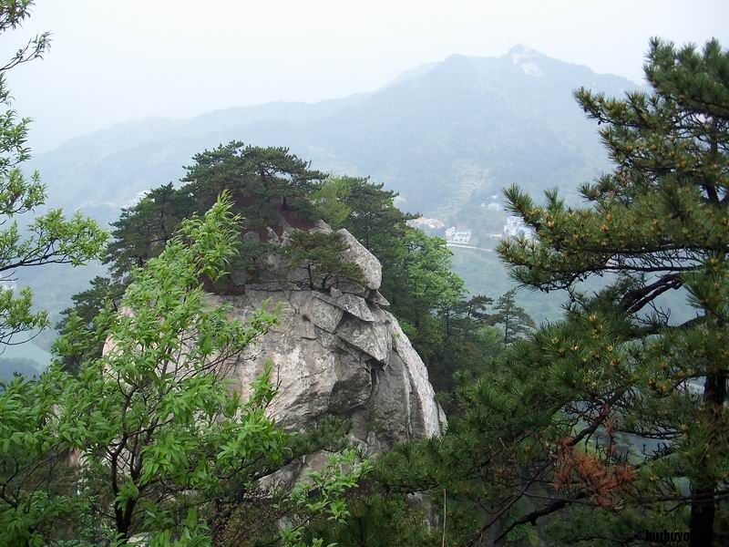 未命名.jpg