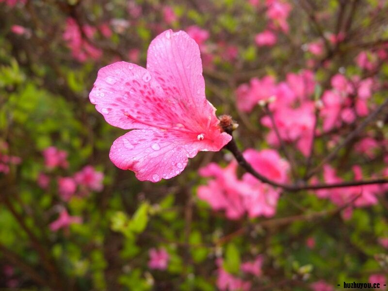 DSCN7960.jpg