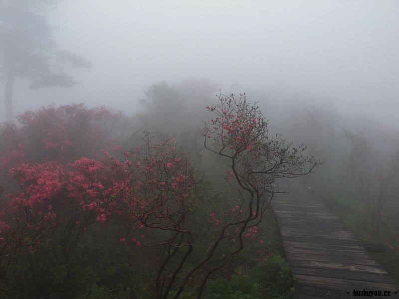 DSCN7983.jpg