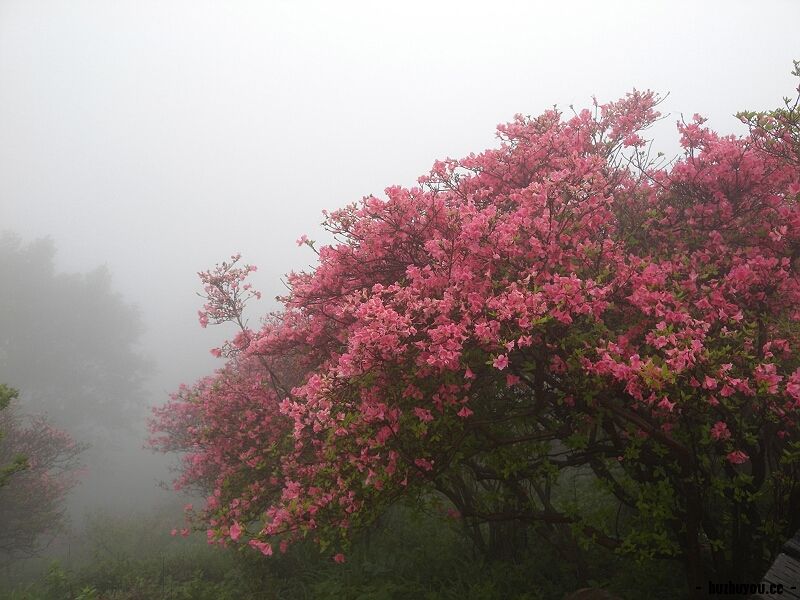 DSCN7986.jpg