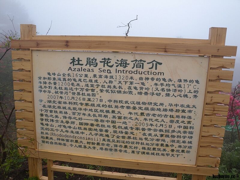 DSCN8017.jpg