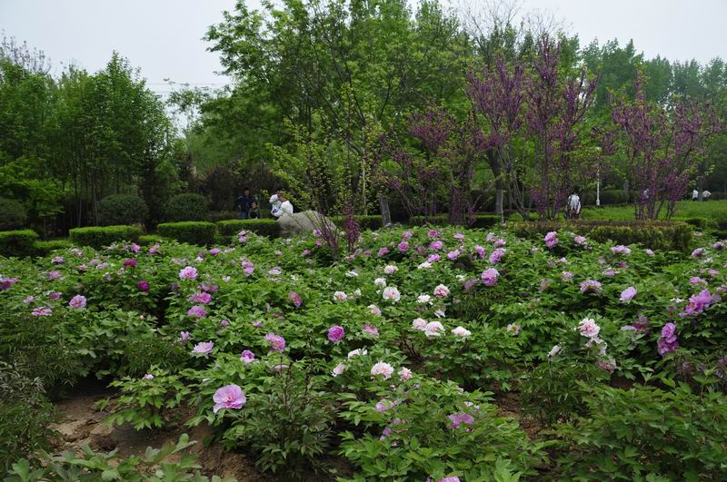 调整大小 照片 640.jpg