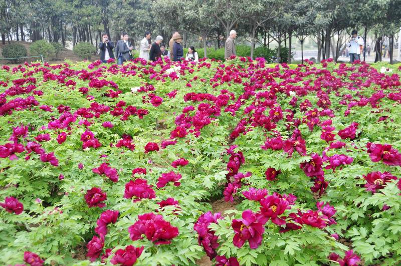 调整大小 照片 662.jpg