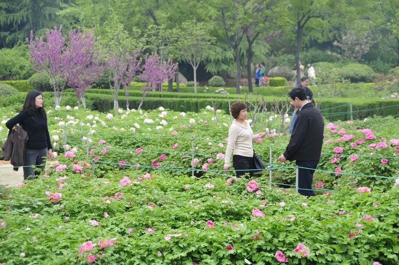 调整大小 照片 700.jpg