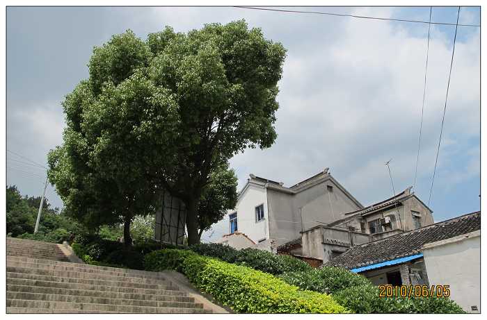 此行第一景4.jpg