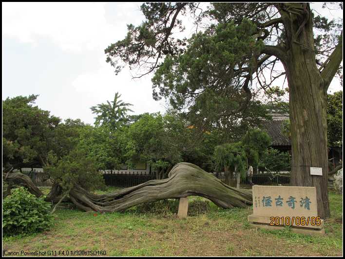 清奇古怪1.jpg