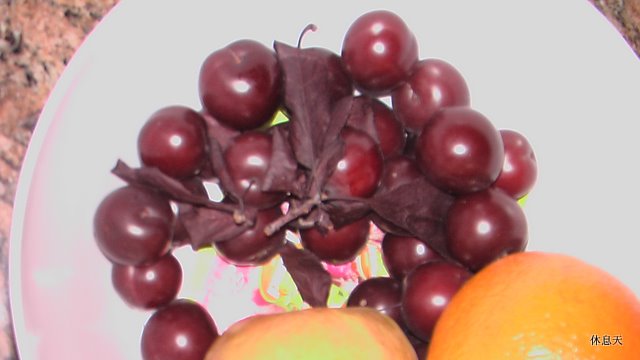 这些就是紫叶李（黄色的是菜场买的加州甜橙）.JPG