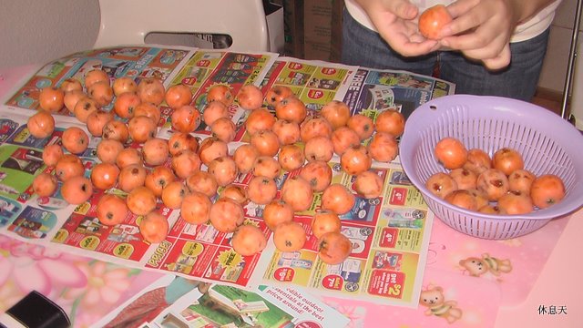 枇杷放不住，这些熟了今天吃。.JPG