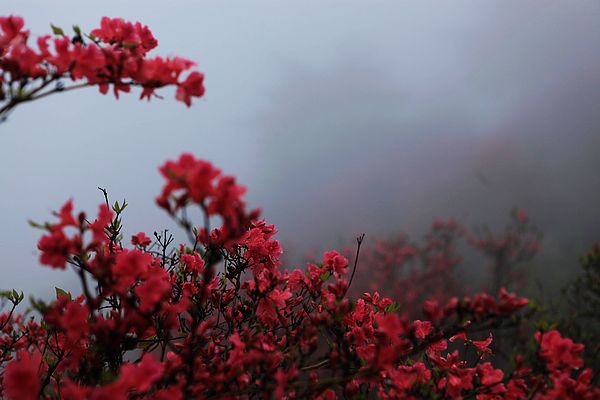 上张图片玩玩