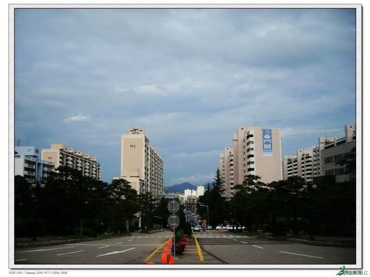 SL386190.JPG