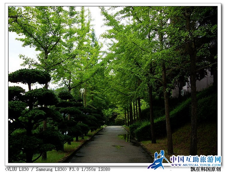 nEO_IMG_SL386218.jpg